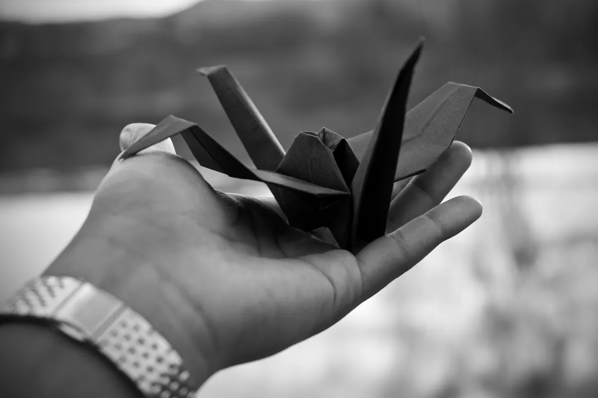 Origami Sekkei: Architectural Origami