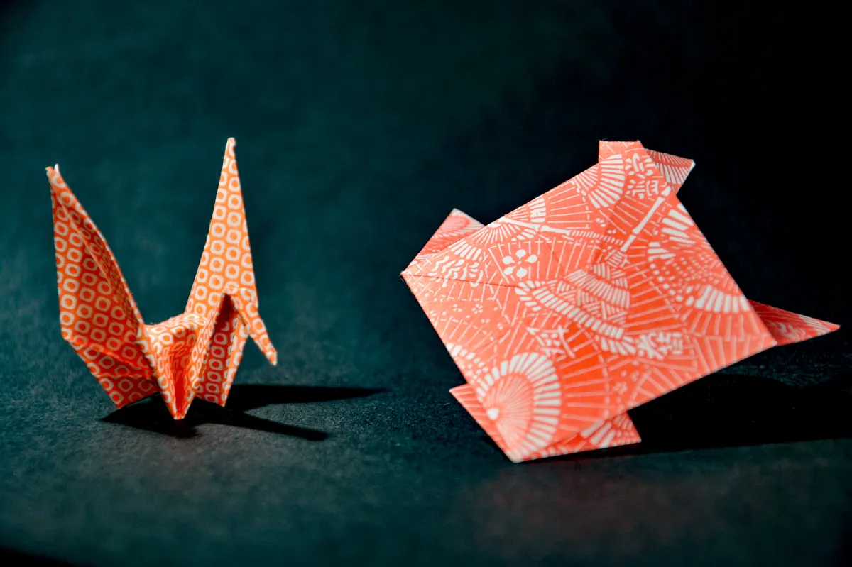 Assorted basic origami paper models displaying fundamental folding techniques and creases.