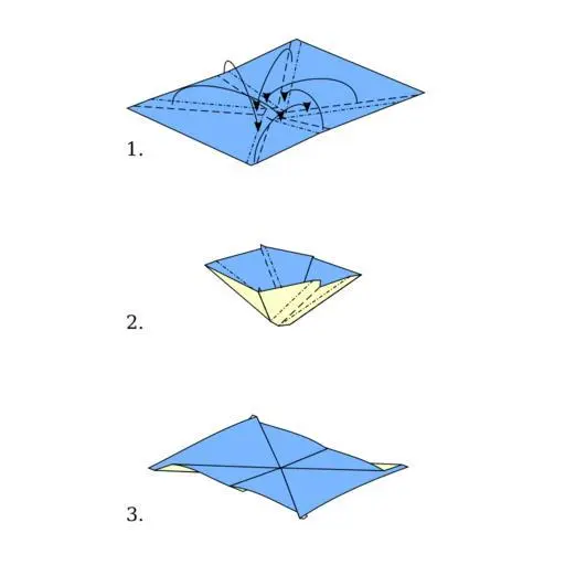 Visual demonstration of the difference between an outward squash fold and a narrowed petal fold.
