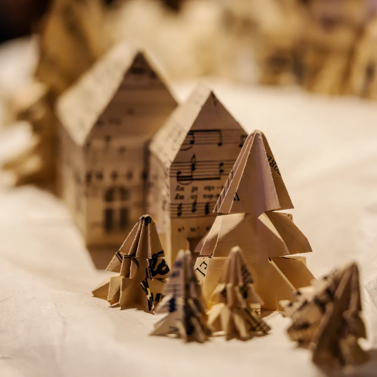 Close-up of printed origami diagrams with dashed lines and folding instructions explained.