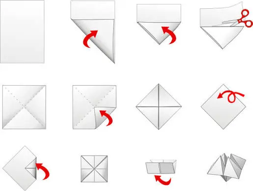 A comparison illustration showing step-by-step origami folding instructions alongside an unfolded crease pattern.