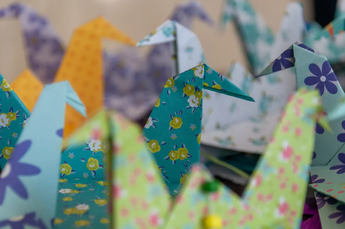 Origami Model Comparison Chart